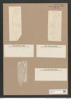 Navicula carinifera Grun. (de-Toni-Nr.: Genus 1, Species 352) Zeichnungen Sammlung Grunow Nr. 799 (NHMW-BOT-W0367220)